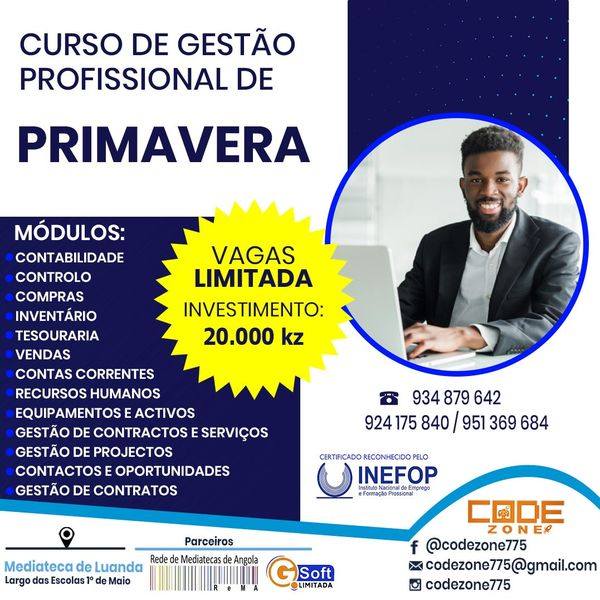 Curso de Gestão Profissional do ERP Primavera